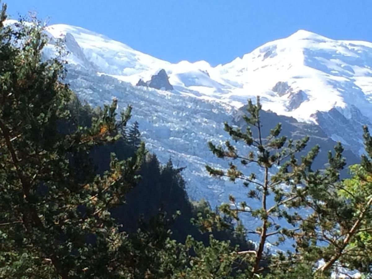 Chalet Des Petits Loups Villa Chamonix Mont Blanc Exterior foto